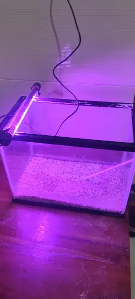 Aquarium & lampu led