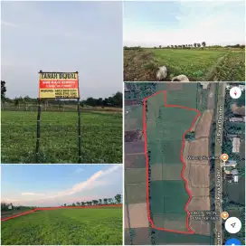 Tanah sawah milik sendiri