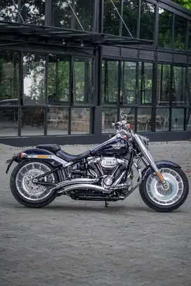 Harley Davidson FSTBOY 2020