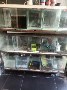 PERLENGKAPAN USAHA JUALAN IKAN HIAS 15 AQUARIUM DAN RAK BESI