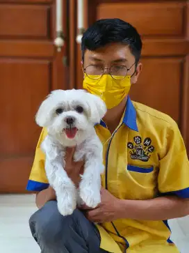 Grooming anjing bogor