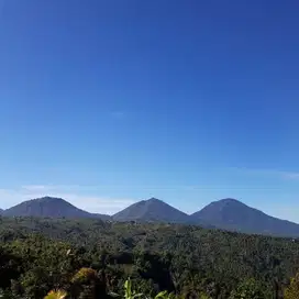 Dijual Tanah Jalan Utama Asah Gobleg Buleleng