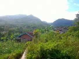 Tanah untuk rumah villa kebun SHM MURAH dekat WISATA