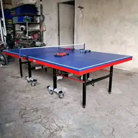 TENIS MEJA PINGPONG