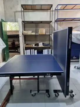 TENIS MEJA PINGPONG