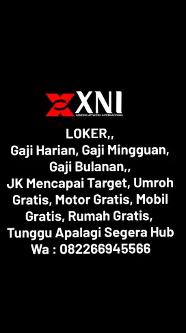 LOKER PT. XANDER