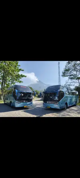 Lowongan Driver Blue Bird Taxi