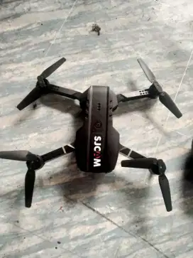 Drone DJCam ikan paus