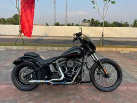 SOFTAIL BLACKLINE 2012 FULL PAPER