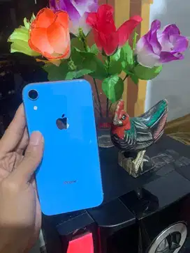 iphone xr 128 inter