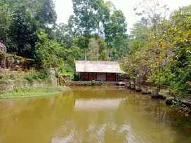 Tanah kolam ikan SHM Air normal Cocok untuk villa pemancingan