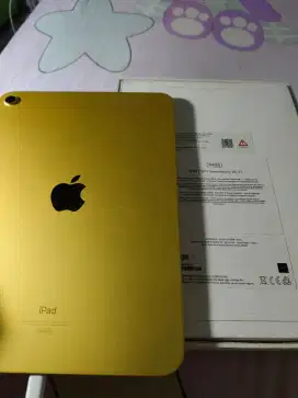 iPad 10. Wifi iBox. 64 GB