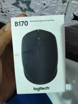 Logitech Mouse B170