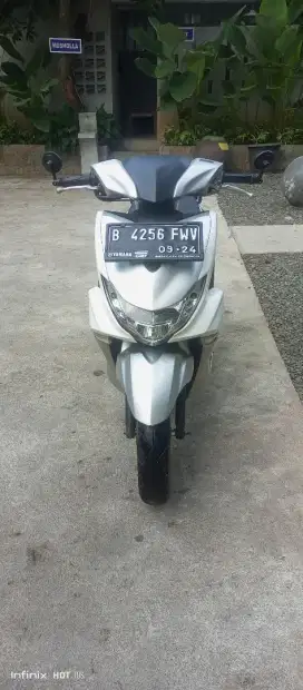 Yamaha freego 2019