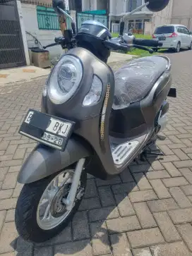 Honda Scoopy Stylish 2023