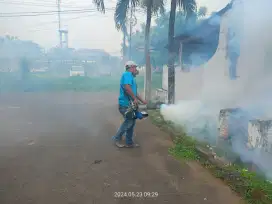 fogging nyamuk demam berdarah
