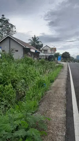 TANAH STRATEGIS JALAN ASPAL DEKAT PASAR SRIBIT KULON PROGO JK12963