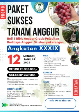 Promo pelatihan anggur