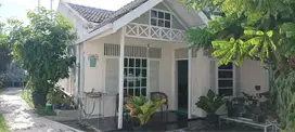 Jual Cepat Rumah 1 Lantai Jl. Sungkai Lampung Nego