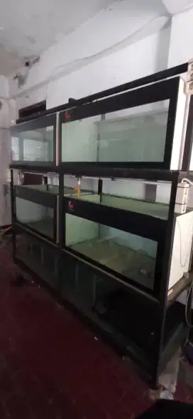 JUAL AQUARIUM IKAN ARWANA