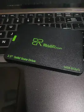 Ssd 512 sentinel 100