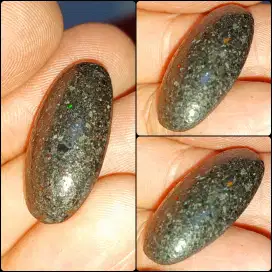 Black Opal Coral Banten