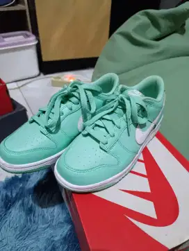 Nike Dunk Low Emerald Rise size 38.5 Insole 24