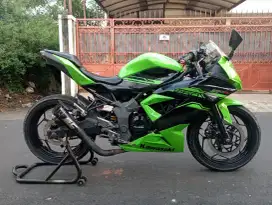 Ninja 250 Mono 2017 Ori Muluss Jos murmer