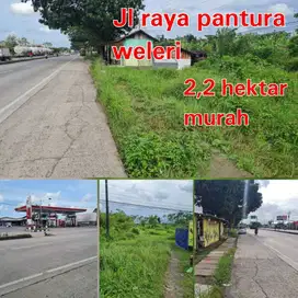 DIJUAL TANAH WELERI KENDAL PINGGIR JALAN RAYA PANTURA SIAP BANGUN