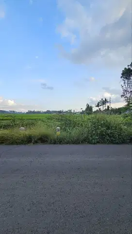 Dijual Tanah Siap Bangun di Jalan Embong Turi, Kec. Pakisaji, Malang