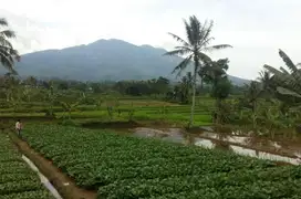 Dijual lahan best view cocok buat perumahan dan pertanian di cidahu