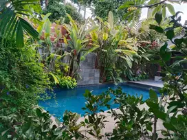 Beautyfull Villa For Rent in Sanur Bali