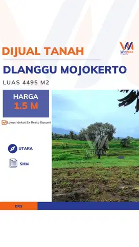 Dijual Tanah Dlanggu Mojokerto