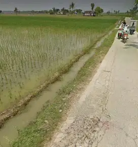 Tanah murah cocok u/perumahan atau gudang Muara Gembong Bekasi Jabar