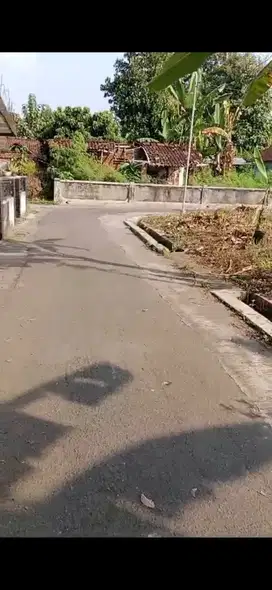 TANAH MURAH DI MINGGIR SLEMAN YOGYAKARTA