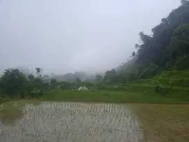 Tanah Sawah dan Darat 1649 m2 Udara Dingin Bojong Purwakarta