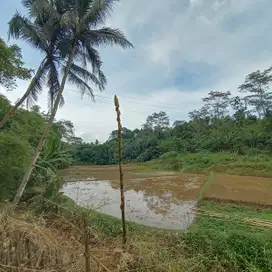 Sawah Dekat Rumah Warga Lt 9.913 m² Di Nagrak