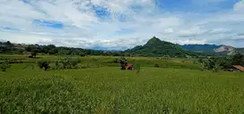 Sawah di himpit 2 sungai & dekat rumah penduduk di Cianting 1916 m2