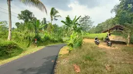 Tanah Sawah Pinggir Jalan 2866 m² Kiarapedes Purwakarta