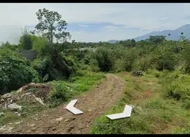 TANAH ZONA KUNING PERUMAHAN BOJA