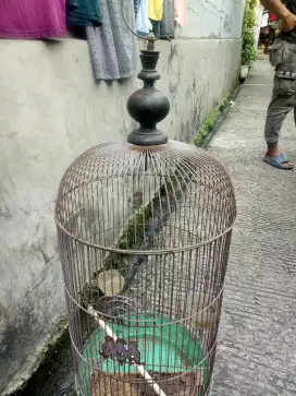 sangkar burung no2 besi