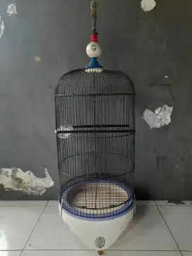 Sangkar lovebird pion + tebok ebod jaya cocok buat lomba