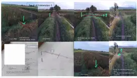 Dijual tanah sawah luas total 2.762 m2 dipisah jalan di Kendal