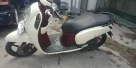 Honda scoopy injeksi siap pakai