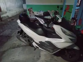 Honda PCX putih 2019