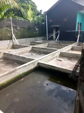 TANAH MURAH PERSEGI_SURAT SHM_ADA KOLAM IKANNYA DI COGREG CISEENG