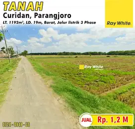 Tanah Dijual Zona Kuning Parangjoro Sukoharjo,  Status Pekarangan