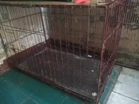 kandang kucing ukuran 75