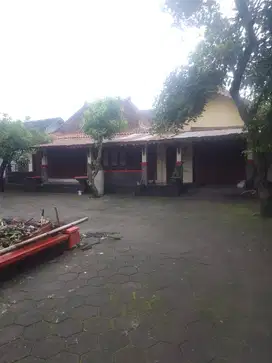 Vila joglo klasik (nego) dengan taman yang luas