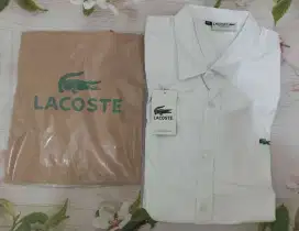 Kemeja Putih Pria Lengan Panjang Lacoste